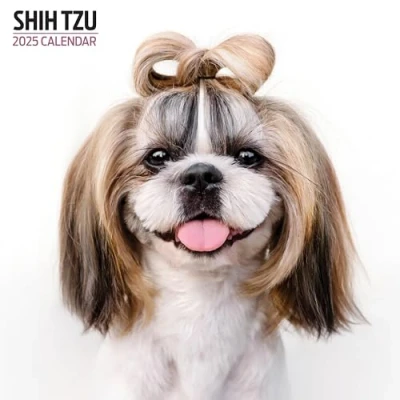Imagen de Shih Tzu Calendario moderno 2025