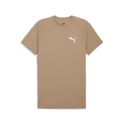 Imagen de Puma TEE Camiseta básica, Hombre, Talla: Large, Oak branch