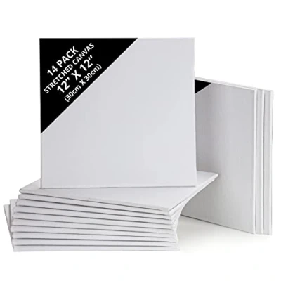 Imagen de Belle Vous Pack de 14 Lienzos para Pintar en Blanco 30 x cm Set Panel Lienzo Preestirado Aptos Pintura Acrílica y al Óleo Bocetos Dibujos