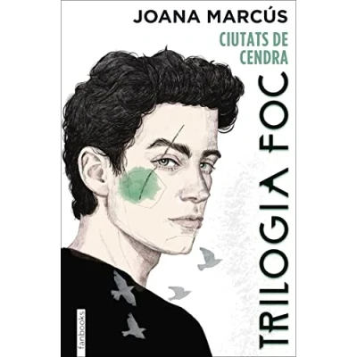 Imagen de Trilogia Foc 2: Ciutats de cendra (Ficció romàntica)