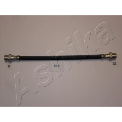 Imagen de Soporte, tubo flexible de freno ASHIKA 69 05 515