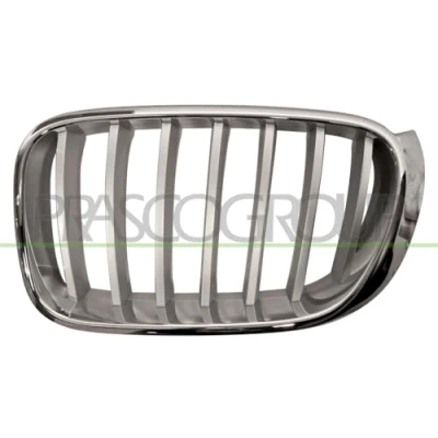 Imagen de PRASCO BM8062014 Parrilla izquierda cromado BMW: X3