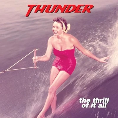 Imagen de The Thrill Of It All (2 LP) [Vinilo]