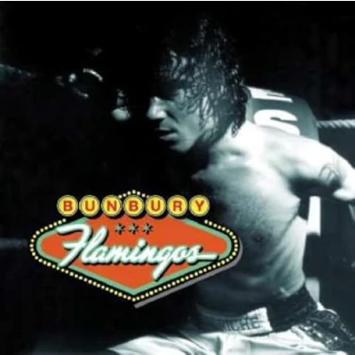 Imagen de Flamingos (2 LP) [Vinilo]