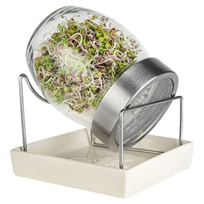 Imagen de Geo GeoJar Germinador, 14.5 x 15 15.5 cm, color transparente