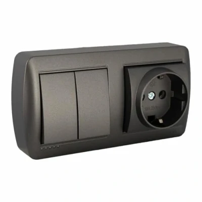 Imagen de Solera Base Doble Enchufe + Interruptor Mural 2p+t 250 V 16 A Grafito