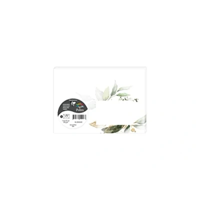 Imagen de Clairefontaine 55035C COLLECTION EUCALYPTUS, paquet de 20 enveloppes imprimées Pollen 114x162 120g, Vert 1