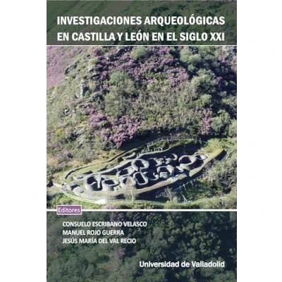 Imagen de INVESTIGACIONES ARQUEOLÓGICAS EN CASTILLA Y LEÓN EL SIGLO XXI