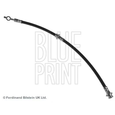 Imagen de BLUE PRINT ADN153181 Latiguillos de Freno Eje delantero, izquierda 462 NISSAN: Almera II Hatchback, 2 Limousine