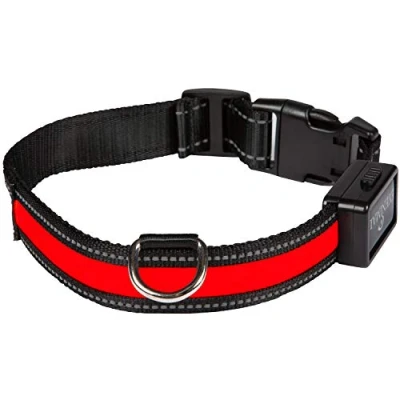 Imagen de Num&#039;axes 01830603 Collar Eyenimal con USB Rojo L