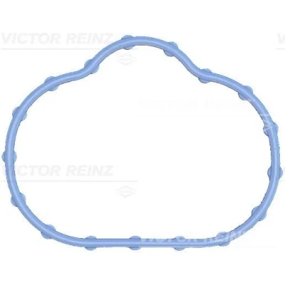 Imagen de REINZ 71 17497 00 Junta Colector de Admision FPM (caucho fluroado) JAGUAR: X Type Berlina