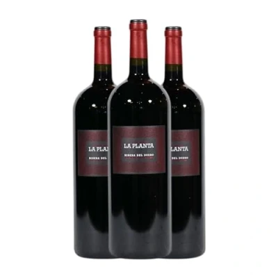 Imagen de Arzuaga La Planta Tempranillo Ribera del Duero Joven Botella Magnum 1,5 L Vino tinto (Caja de 3 L)