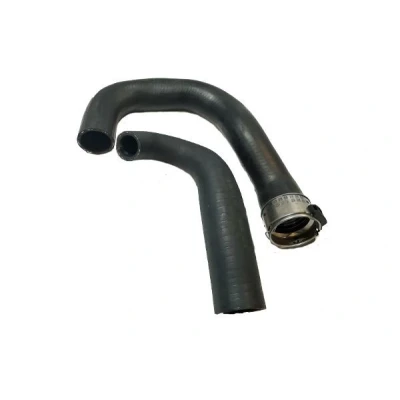 Imagen de Tubo flexible, aire de sobrealimentación BUGIAD 85620