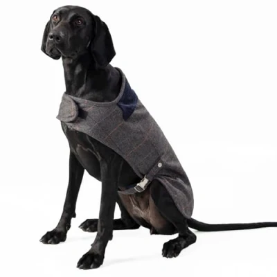 Imagen de HUGO &amp; HUDSON x Hackett Chaqueta de Tweed para Perro, Abrigo Invierno cálido con Cuello Pana, Cuadros Grises en Espiga, XS25