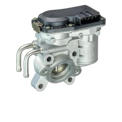 Imagen de DELPHI EG10537 12B1 Válvula EGR sin radiator NISSAN: Cabstar