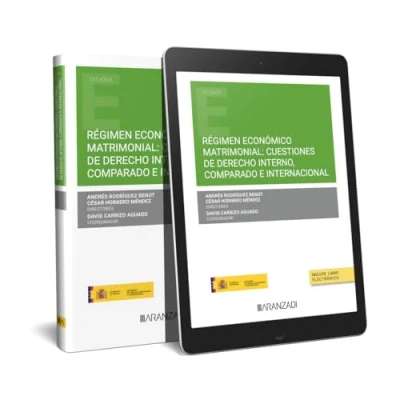 Imagen de RÉGIMEN ECONÓMICO MATRIMONIAL: CUESTIONES DE DERECHO INTERNO, COMPARADO E INTERNACIONAL (DÚO) (Estudios)