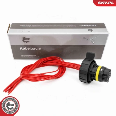Imagen de ESEN SKV 53SKV029 Válvula de mando, transmisión automática