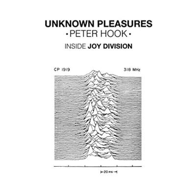 Imagen de Unknown pleasures