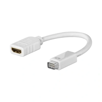 Imagen de Adaptador Wentronic Mini Dvi M Hdmi F, Sb
