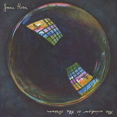 Imagen de the Window Is Dream [Vinilo]