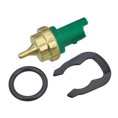 Imagen de MEYLE 11 14 821 0006 Sensor de Temperatura del Refrigerante con clip sujeción junta anular PEUGEOT: 207 Hatchback, 206 Hatchback norauto,