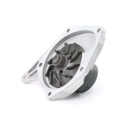 Imagen de DOLZ R227 Bomba de agua Metal RENAULT: CLIO 2, MEGANE 3, Kangoo I, NISSAN: Qashqai / Qashqai+2 MICRA NV200 Evalia Bus, DACIA: SANDERO Lodgy