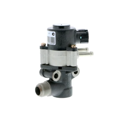 Imagen de Válvula EGR ACKOJA A38 63 0001