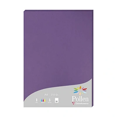 Imagen de Clairefontaine 24216C Un étui de 25 feuilles Pollen 21x29,7 cm 210g, Violine