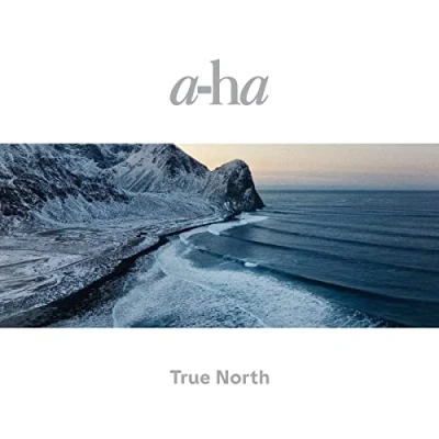Imagen de True North [Vinilo]