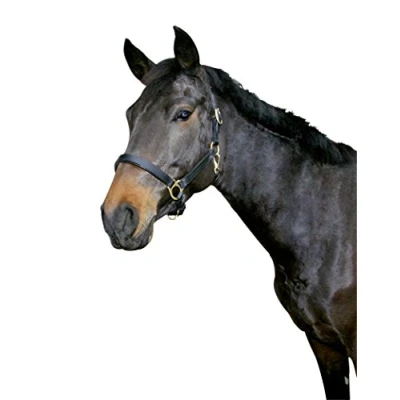 Imagen de KERBL Eco Ronzal Leder Schwarz Talla:Grösse 3: Warmblut