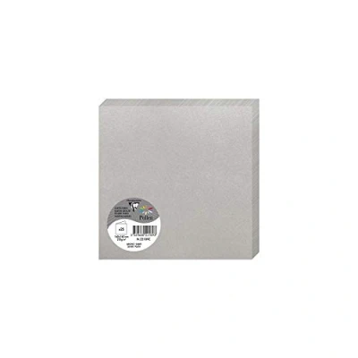 Imagen de Clairefontaine 2126 C Pollen Pack de 25 Sobres dípticas 16 x cm), color plata 0.10