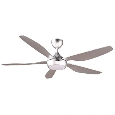 Imagen de reiga 137CM Silver DC Motor Ventilador de techo inteligente moderno con kit luz LED regulable Control remoto la aplicación Google Alexa, para sala estar/restaurante/dormitorio/patio