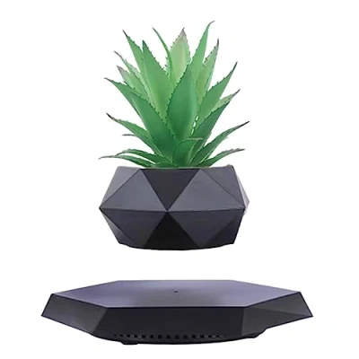 Imagen de planta levitante, flotante, Maceta flotante para suculentas, bonsái de aire y plantas aire. decoración levitadora del hogar, oficina escritorio. Pantalla