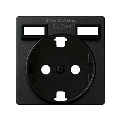 Imagen de Tapa para enchufe Schuko, cargador doble USB Concept, 1 x 4 centímetros, color negro mate (referencia: 8200049 098)