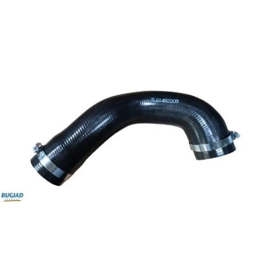 Imagen de Tubo flexible de aire sobrealimentación BUGIAD 82205