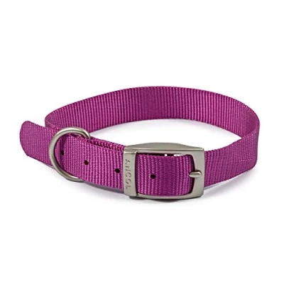 Imagen de Ancol Viva Collar Ligero con Hebilla, Color Morado, Talla 4 para Adaptarse a 35 43 cm, Resistente la Intemperie