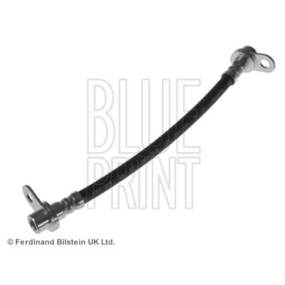 Imagen de BLUE PRINT ADC453100 Latiguillos de Freno Eje trasero izquierda, interior 256 MITSUBISHI: Lancer 8 Limousine, Outlander 2 SUV,