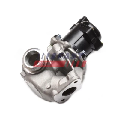 Imagen de Válvula EGR FAST FT60240