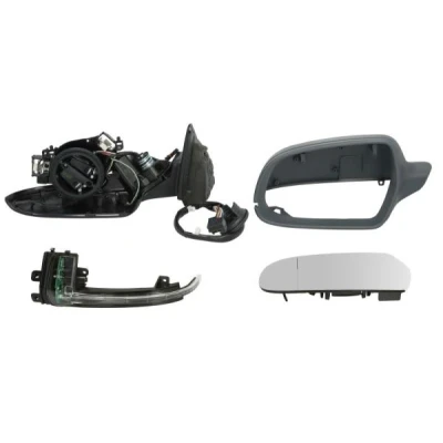 Imagen de Retrovisor exterior BLIC 5402 25 048333P Izquierda