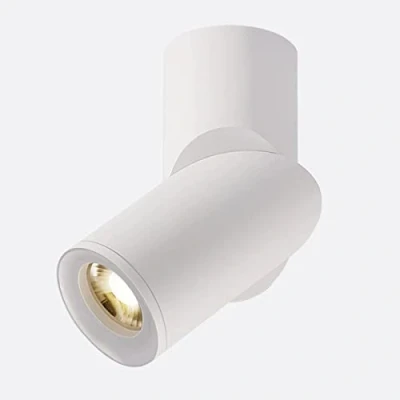 Imagen de Budbuddy 12W Focos de Techo Moderno Lámpara LED Plafón con Blanco Luz Luces para Ángulo Ajustable y Giratorio Iluminación Interior 4000K