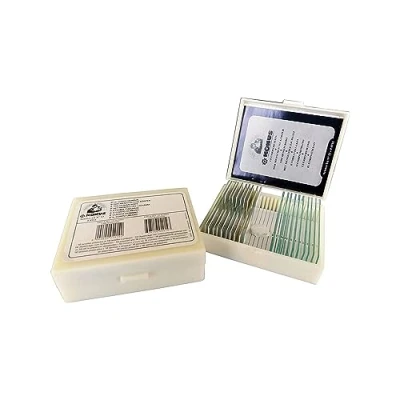 Imagen de Preparación Cono Set Tejido Humano patológica 1 (Pack de 10)