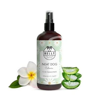 Imagen de Belly Colonia para Perros con Aloe Vera: Desenreda, Refresca e Hidrata 250ml Perfume Perro de Flor Plumeria pH Equilibrado Fórmula Vegetal Todo Tipo Pelaje Duradera