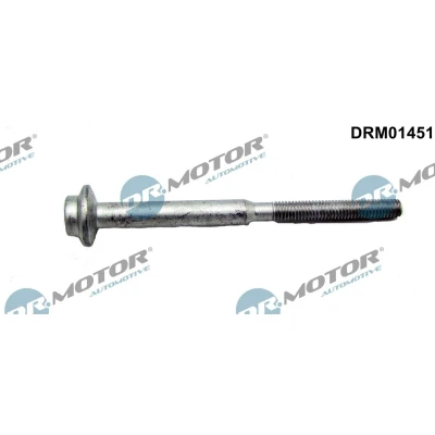 Imagen de DR.MOTOR AUTOMOTIVE DRM01451 Tornillo, soporte inyector SEAT: Leon III ST, Hatchback, ST Furgón / Familiar, VOLKSWAGEN: Golf 7