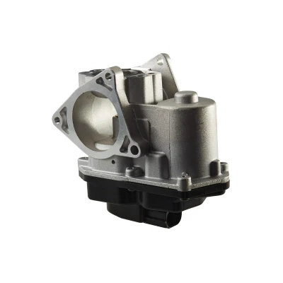 Imagen de HELLA 6NU 010 171 801 Válvula EGR eléctrico con junta VOLKSWAGEN: GOLF 6, Passat B6 Variant, Berlina, AUDI: A3 Sportback, Hatchback