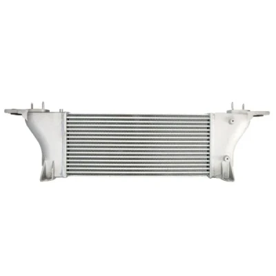 Imagen de THERMOTEC DA1015TT Intercooler NISSAN: NP300 Navara Pick up, Pathfinder 3