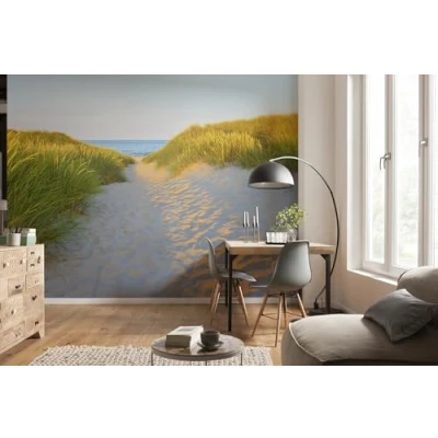 Imagen de &#039;Komar 8 995 papel pintado fotográfico de &quot;Sandy Path, tamaño: 368 x 254 cm (ancho altura), piezas, incluye cola, fabricado en Alemania, multicolor