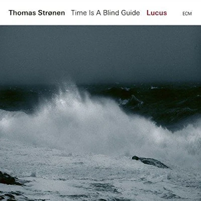 Imagen de Time Is A Blind Guide Vinilo