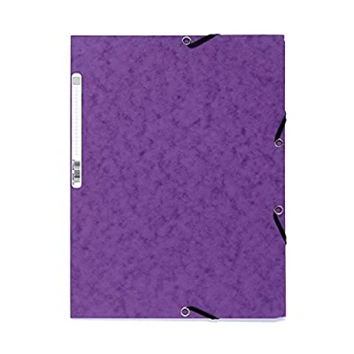 Imagen de Exacompta 55508E Caja de 25 subcarpetas 3 solapas elásticas cartulina brillo 400g/m2 A4 Violeta