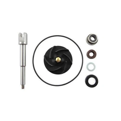 Imagen de Otras piezas del motor VICMA VIC 11641