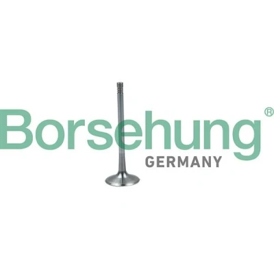 Imagen de Borsehung B19026 Válvula de Admisión VOLKSWAGEN: Golf 6, 5, Passat B7 Variant, AUDI: A5 B8 Sportback, A3 Cabrio